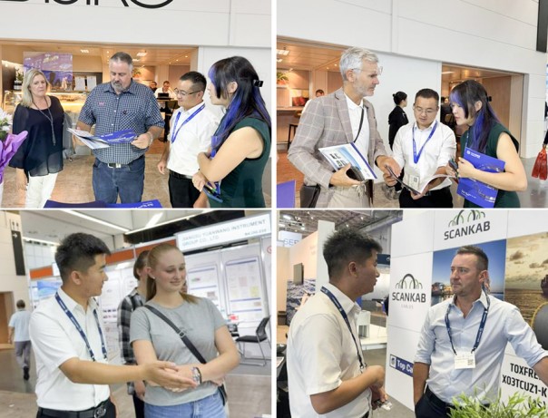 1740659232990594DnZp.jpg 9.jpg