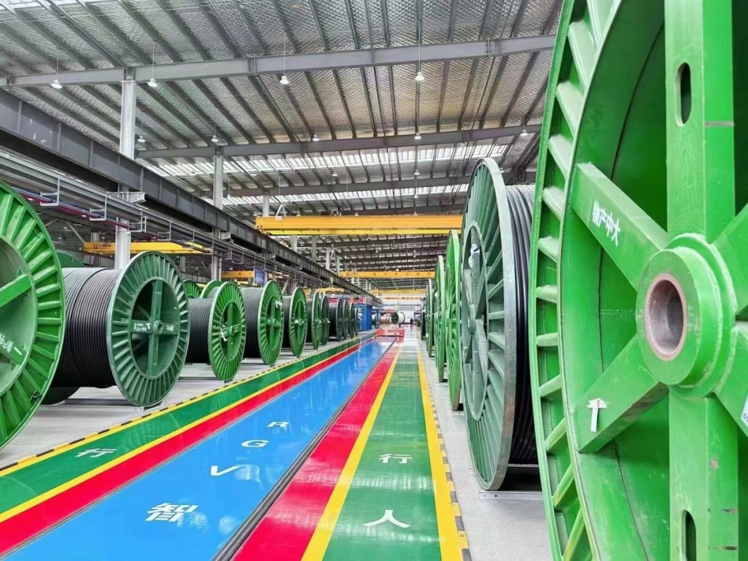 1740712676342890vF9q.jpg 5.jpg